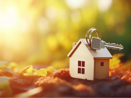 Sınırsız içerik ve tasarım özelleştirme özellikleri ile gelişmiş son panel dinamik yapı oluştur kolayca yönet teknik bilgi gerektirmeden firmanız hakkında sizi rakiplerinizden ayıracak profesyonel web tasarım scriptimizi çok uygun fiyata kullanın.